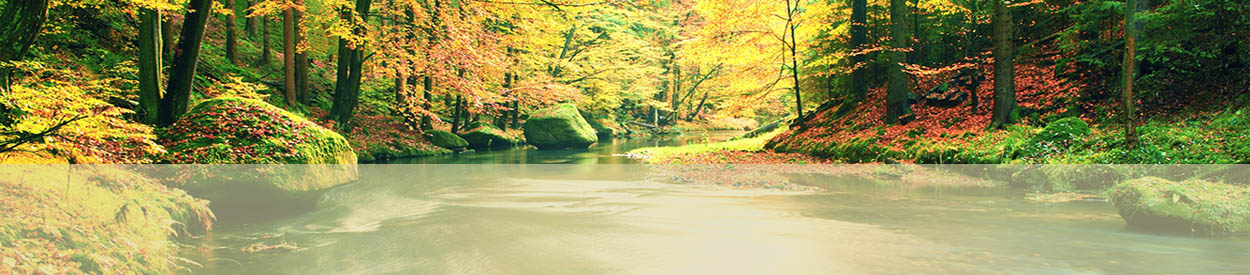 Mom's Night Out is the First Monday of Every Month